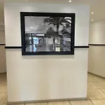 Studio Confortable